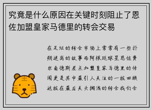 究竟是什么原因在关键时刻阻止了恩佐加盟皇家马德里的转会交易