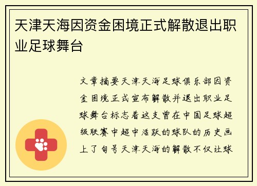 天津天海因资金困境正式解散退出职业足球舞台 天津天海因资金困境正式解散退出职业足球舞台